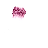 pastel rose sur calque,nuque david, 21x29,7cm, 2008 MX 45